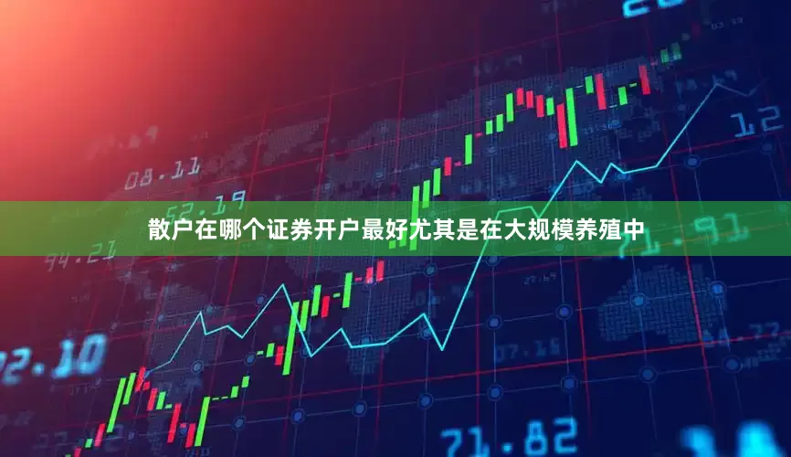 散户在哪个证券开户最好尤其是在大规模养殖中