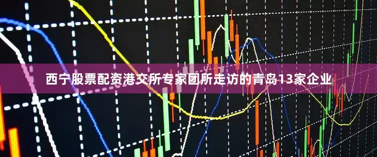 西宁股票配资港交所专家团所走访的青岛13家企业