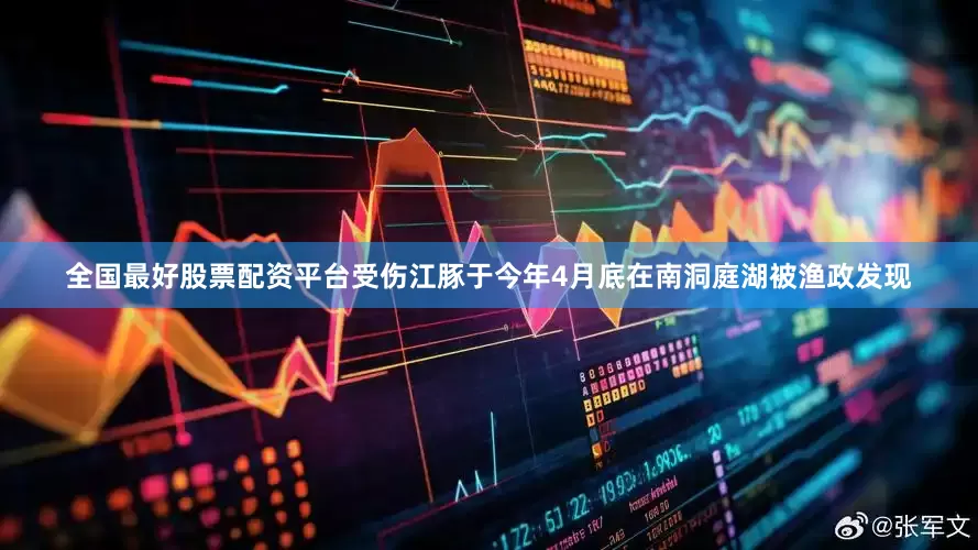 全国最好股票配资平台受伤江豚于今年4月底在南洞庭湖被渔政发现