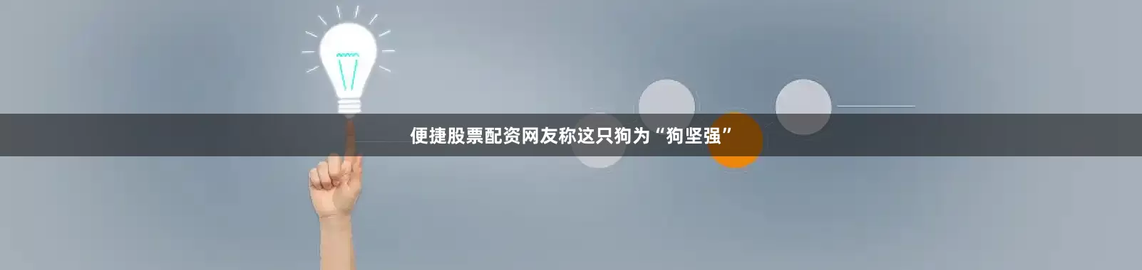 便捷股票配资网友称这只狗为“狗坚强”